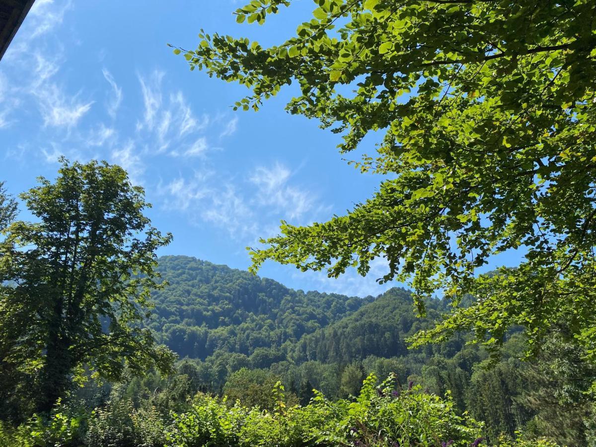 Ferienwohnung Johannsen Haus Elisabeth Aschau im Chiemgau Eksteriør billede
